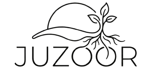 Juzoor